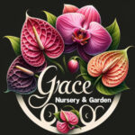 Tupou Kolokihakaufisi