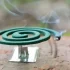 Victoria  Mosquito coil Puha Faka'ahunamu